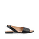 Black Croco